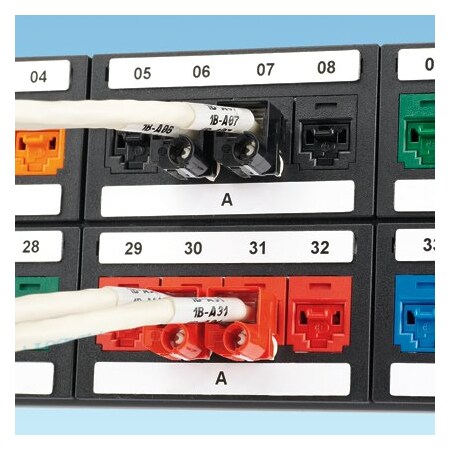 Panduit Raised Panel Label, Component, 2.52"W x C252X030APT